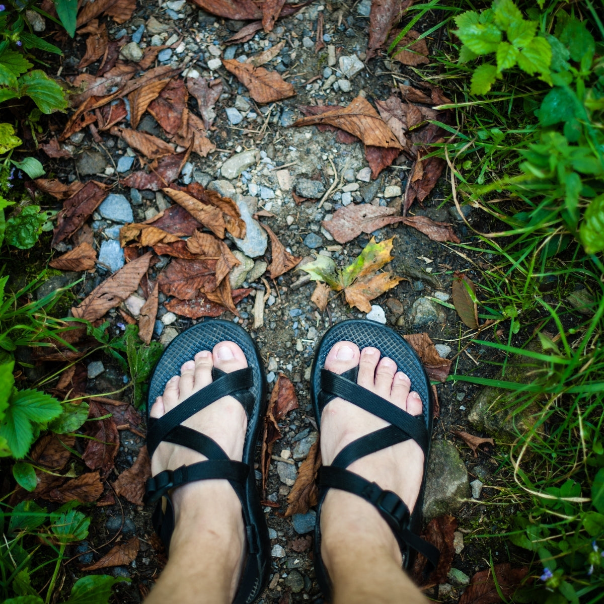 סנדלי טיולים: סוגים שונים ואיך לבחור את הסנדל שמתאים בדיוק לטיול שלך