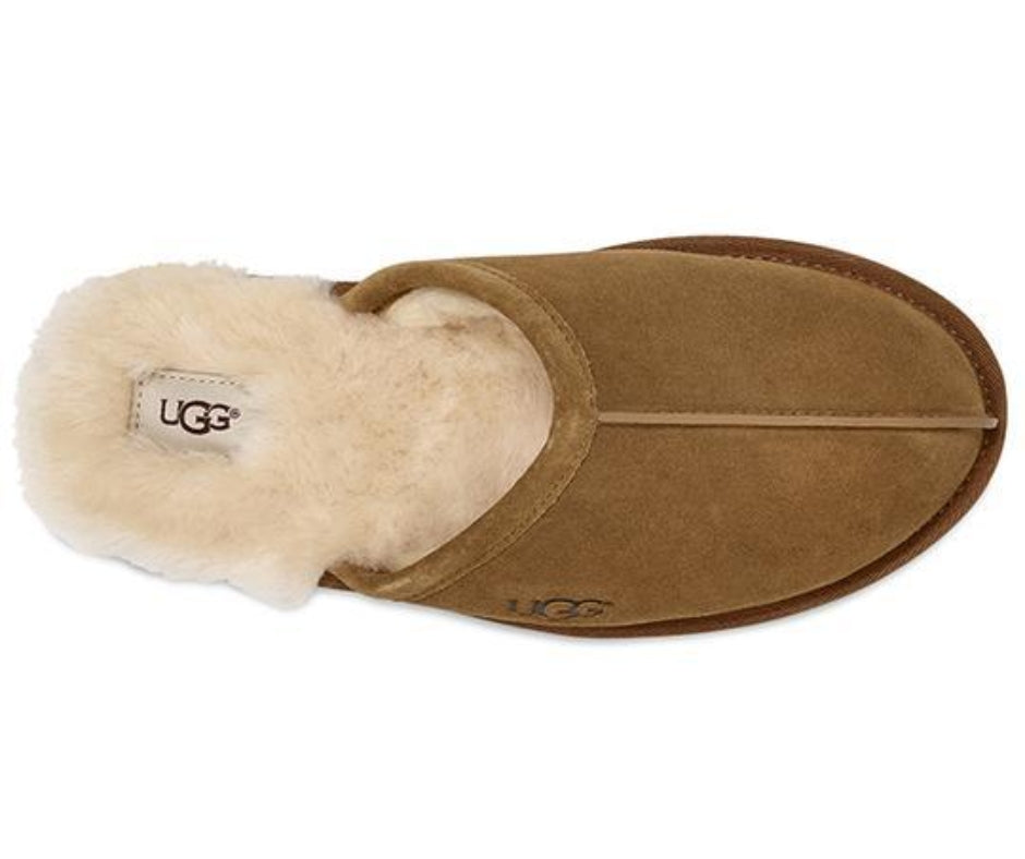 UGG Scuff נעלי בית פרוותיות האג סקאף גברים