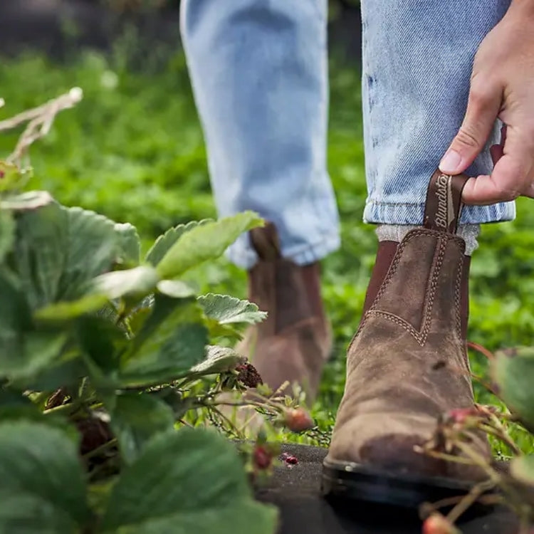 אגדה אוסטרלית: כל מה שהופך את בלנסטון 585 לדגם הנמכר בעולם
