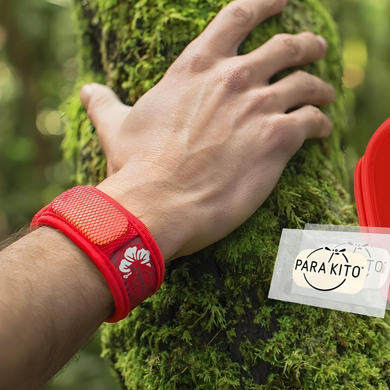 ציוד מגן מעקיצות יתושים