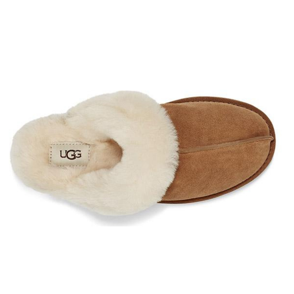 UGG Scuffette 2 נעלי בית פרוותיות האג שופט נשים