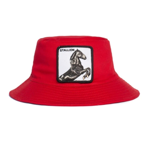 GOORIN BROS I'm a Little Hoarse כובע טמבל גורין סוס