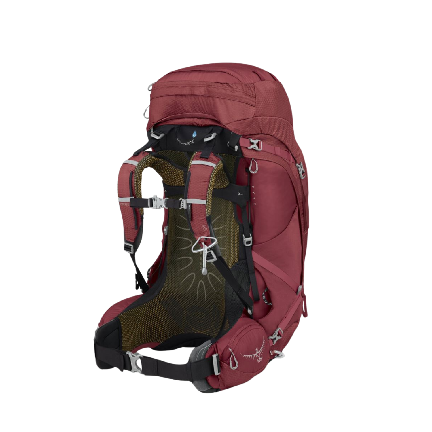 OSPREY Aura AG 65 תרמיל טיולים אאורה אוספריי לנשים